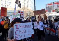 San Jose pushes to retain transparency amid ICE court rulings