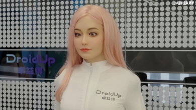 Làn sóng chế tạo robot dễ thương ‘lấy lòng’ người dùng