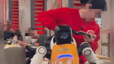 Robot hình người bị lôi khỏi nhà hàng vì đập bát đĩa