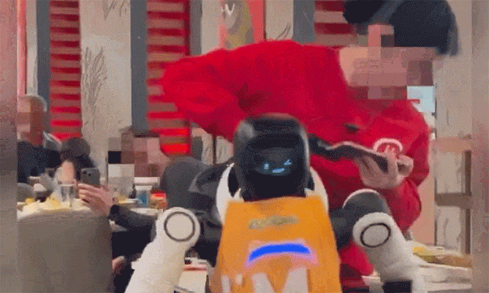 Robot hình người bị lôi khỏi nhà hàng vì đập bát đĩa Robot hình người bị lôi khỏi nhà hàng vì đập bát đĩa