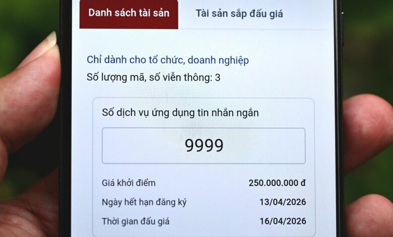 Đấu giá quyền sử dụng mã, số viễn thông, khởi điểm 250 triệu đồng Đấu giá quyền sử dụng mã, số viễn thông, khởi điểm 250 triệu đồng