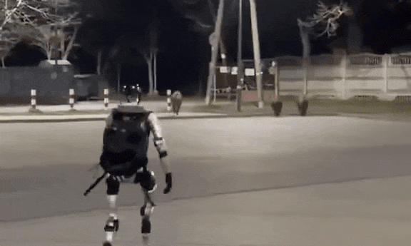 Video robot hình người đuổi lợn rừng gây sốt Video robot hình người đuổi lợn rừng gây sốt