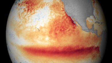 El Nino có thể khiến mưa cực đoan trên toàn cầu