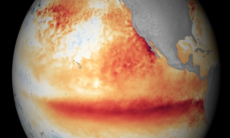 El Nino có thể khiến mưa cực đoan trên toàn cầu El Nino có thể khiến mưa cực đoan trên toàn cầu