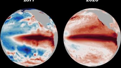 Dòng nước ấm cung cấp sức mạnh cho siêu El Nino