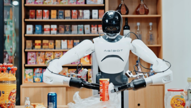 Cơn sốt robot Trung Quốc – chiêu quảng cáo hay lợi nhuận thật?