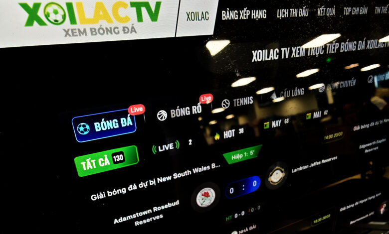 Lý do một số web lậu bị triệt phá vẫn ‘sống lại’