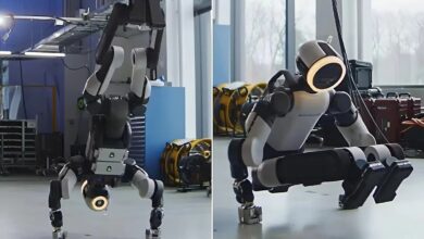 Robot hình người Hyundai ‘trồng cây chuối’