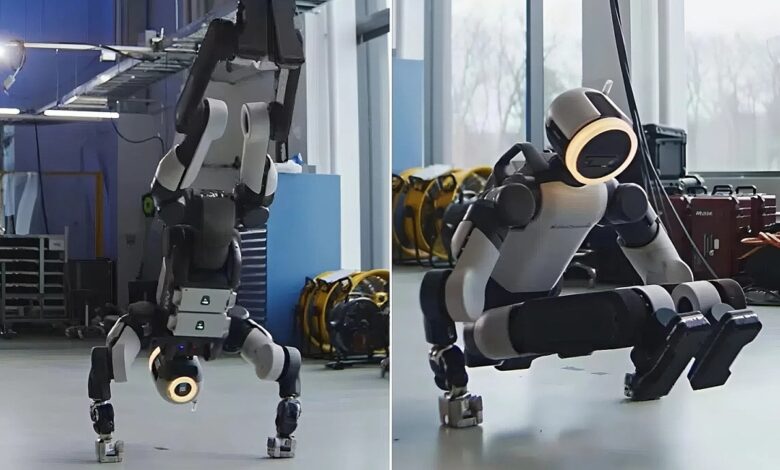 Robot hình người Hyundai ‘trồng cây chuối’ Robot hình người Hyundai ‘trồng cây chuối’