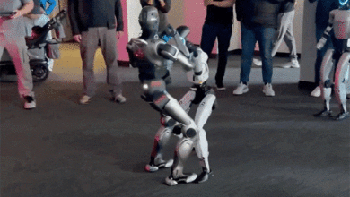 Màn đấu võ của hai robot hình người gây sốt