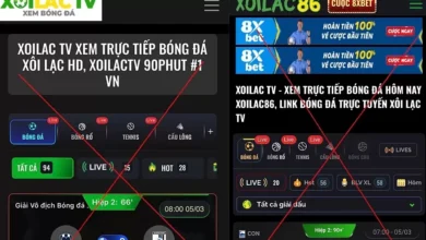 Thủ tướng yêu cầu triệt phá website phim, nhạc, game lậu