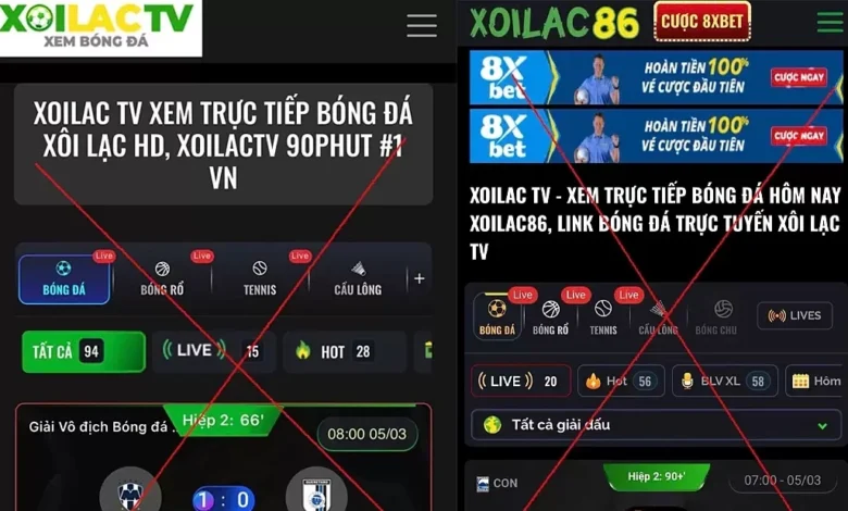 Thủ tướng yêu cầu triệt phá website phim, nhạc, game lậu Thủ tướng yêu cầu triệt phá website phim, nhạc, game lậu