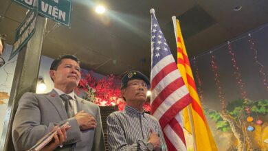 Bien Doan leads in San Jose District 7 council race