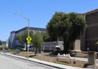San Jose State at top of class when it comes to AI