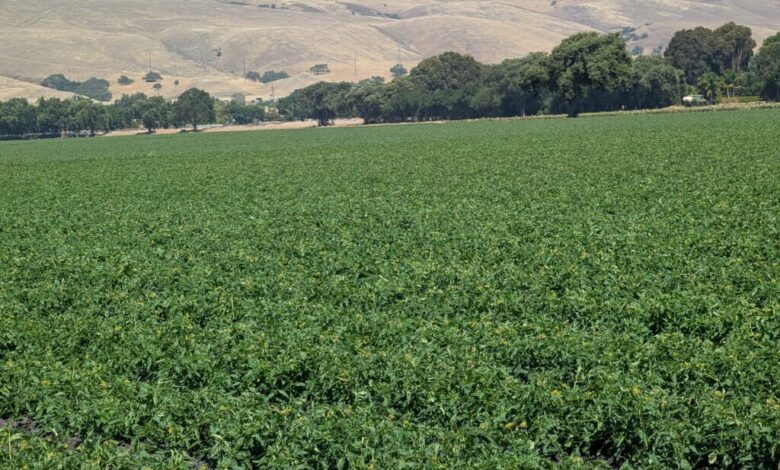 Parcel tax helps preserve Santa Clara County open space