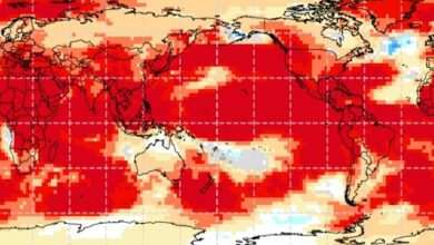 Dấu hiệu El Nino mạnh nhất diễn ra trong năm nay