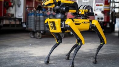 Những robot động vật giải quyết thách thức kỹ thuật