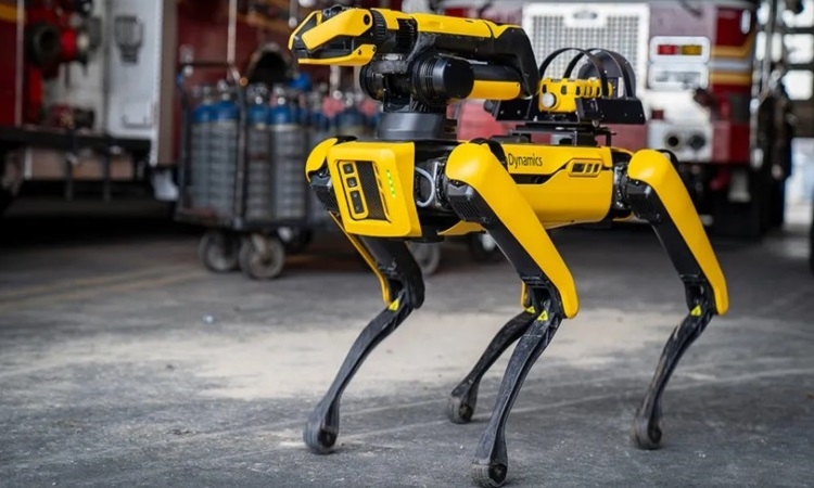 Những robot động vật giải quyết thách thức kỹ thuật Những robot động vật giải quyết thách thức kỹ thuật