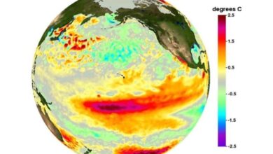 Đề xuất che mờ Mặt Trời ngăn El Nino hình thành