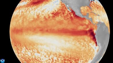 Biến đổi khí hậu có khuếch đại El Nino?