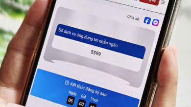 Hai mã, số viễn thông được đưa ra đấu giá