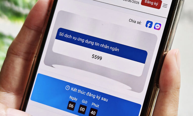 Hai mã, số viễn thông được đưa ra đấu giá