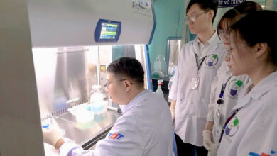 Phát hiện bất ngờ giúp nhà khoa học Việt tạo vật liệu nano trị ung thư