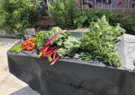State commits millions of dollars to fight food insecurity