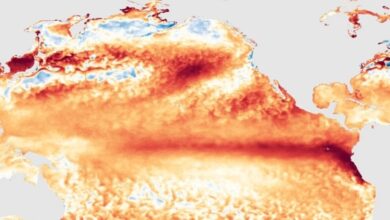 Kỹ thuật làm sáng mây có thể khiến El Nino suy yếu
