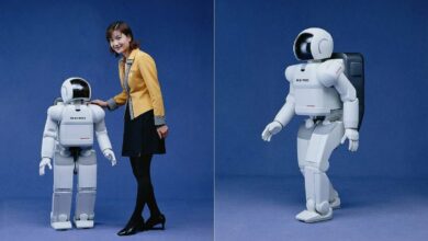 Nhật Bản ‘tụt hậu’ dù tiên phong về robot hình người