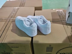 Việt Nam Đấu Tranh Chống Hàng Giả: Gần 50.000 Đôi Giày Nike Bị Tịch Thu
