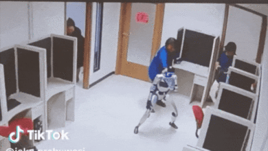 Robot hình người ‘làm loạn trong phòng’ được dàn dựng