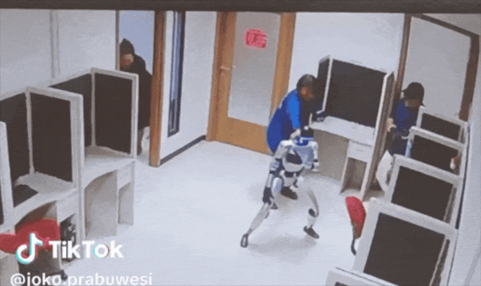 Robot hình người ‘làm loạn trong phòng’ được dàn dựng Robot hình người ‘làm loạn trong phòng’ được dàn dựng