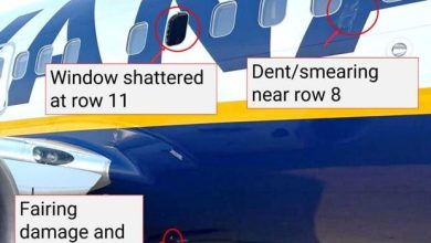 Bằng chứng va chạm với chim sau khi hành khách suýt bị hút ra ngoài cửa sổ máy bay, NTSB tiết lộ