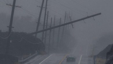 Bão Nhiệt Đới Lala Đổ Bộ Hawaii, Lũ Lụt Quét Sạch Nhà Cửa Trên Đảo Lớn Bão Nhiệt Đới Lala Đổ Bộ Hawaii, Lũ Lụt Quét Sạch Nhà Cửa Trên Đảo Lớn