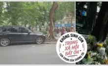 Giới Trẻ và Vụ Ông Nguyễn Sỹ Cương: Thế Lực Thù Địch Có Thực Sự Kích Động?