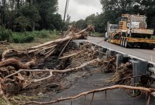 Hawaii Bắt Đầu Quá Trình Dọn Dẹp Sau Cơn Bão Lala Tàn Phá