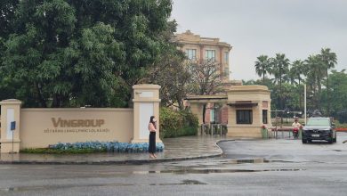 Vingroup: Chiến Lược Giao Dịch Nội Bộ Tăng Trưởng Doanh Thu Đột Phá