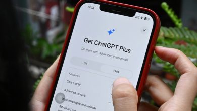 OpenAI Phát Hiện: Hình Ảnh Người Dùng ChatGPT Bị Đăng Tải Trên Mạng!