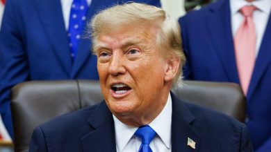 Thẩm phán ngăn chặn nỗ lực mới nhất của Trump nhằm hạn chế quyền công dân theo nơi sinh Thẩm phán ngăn chặn nỗ lực mới nhất của Trump nhằm hạn chế quyền công dân theo nơi sinh